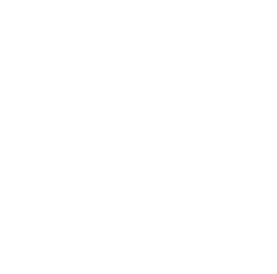 Vision Seeds