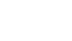 Kiwi Seeds