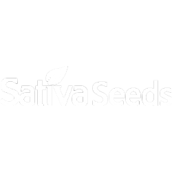 Sativa Seeds