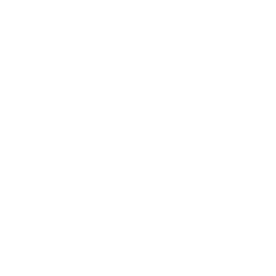 Vision Seeds
