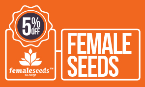 Female Seeds 5% Off